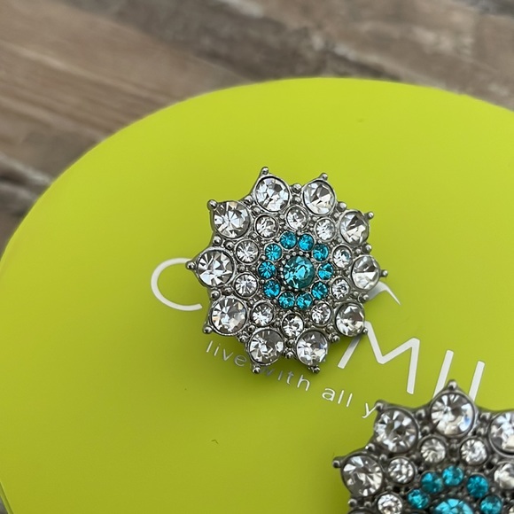 Antique earrings - Picture 5 of 5